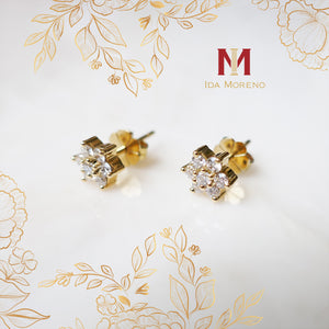 Aretes Molly