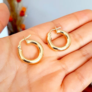 Aretes Carlota